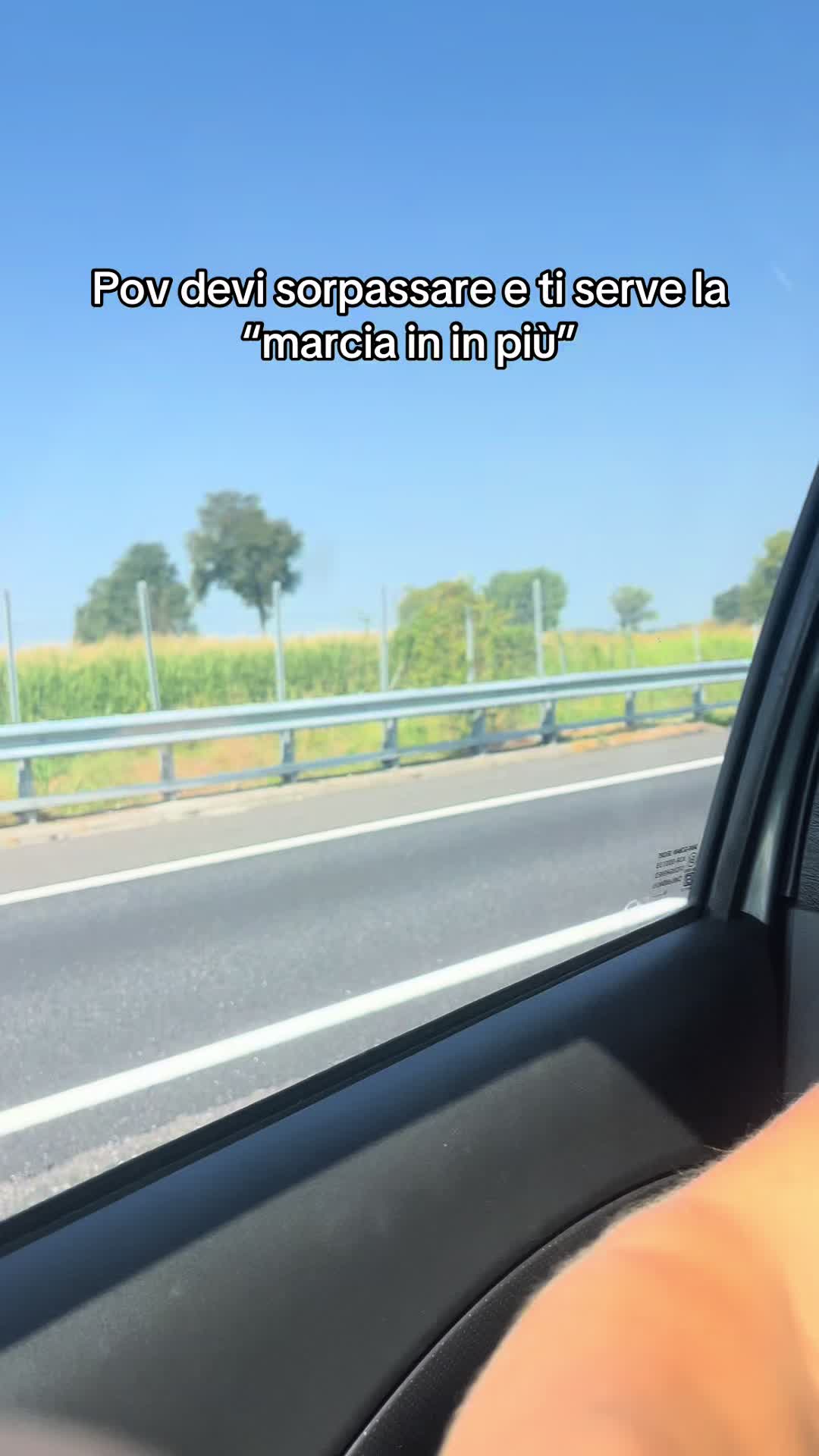 @gattinocattolico