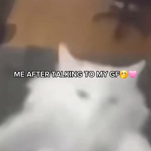 @Eren Yeager