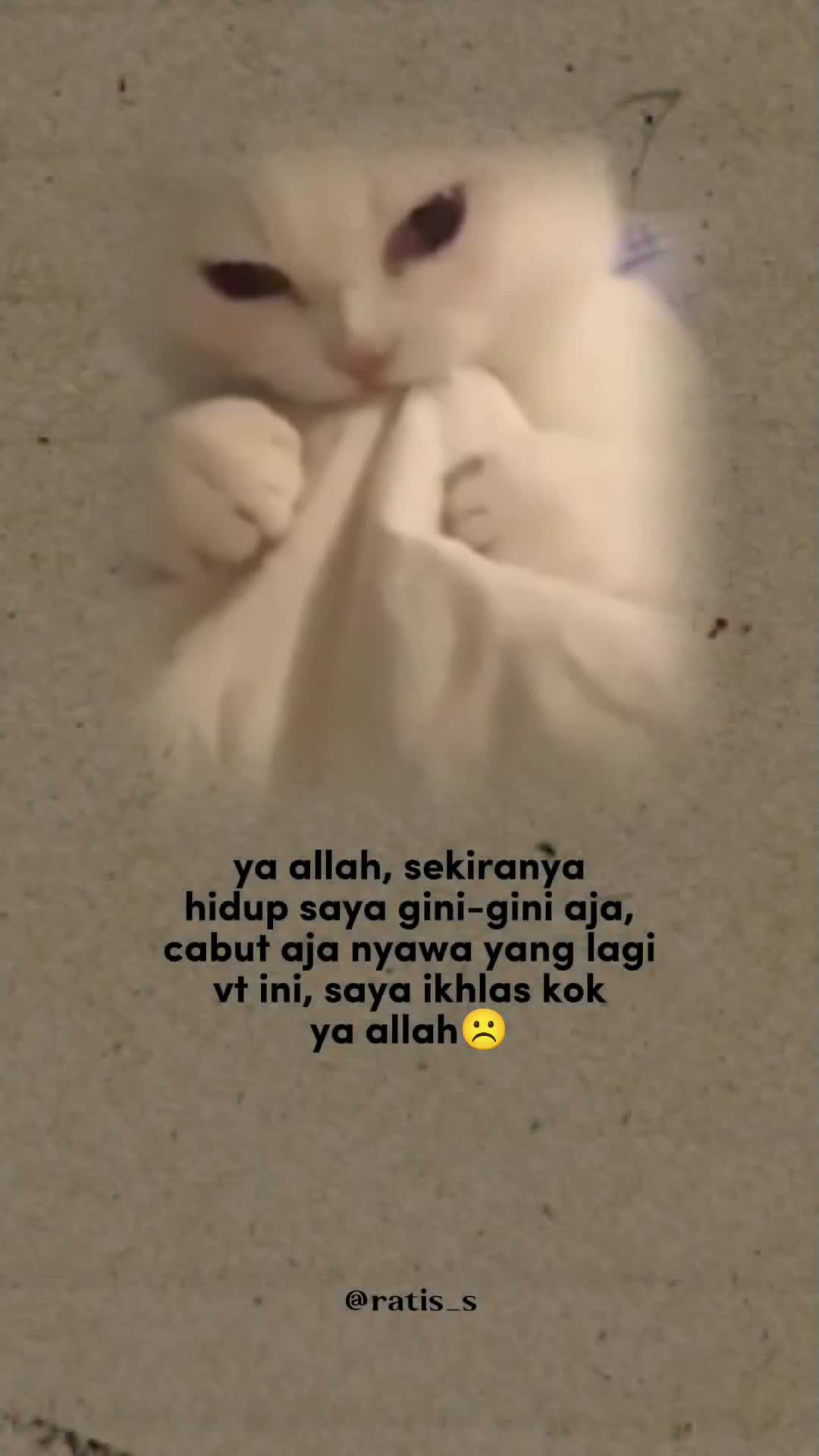 @ratsss