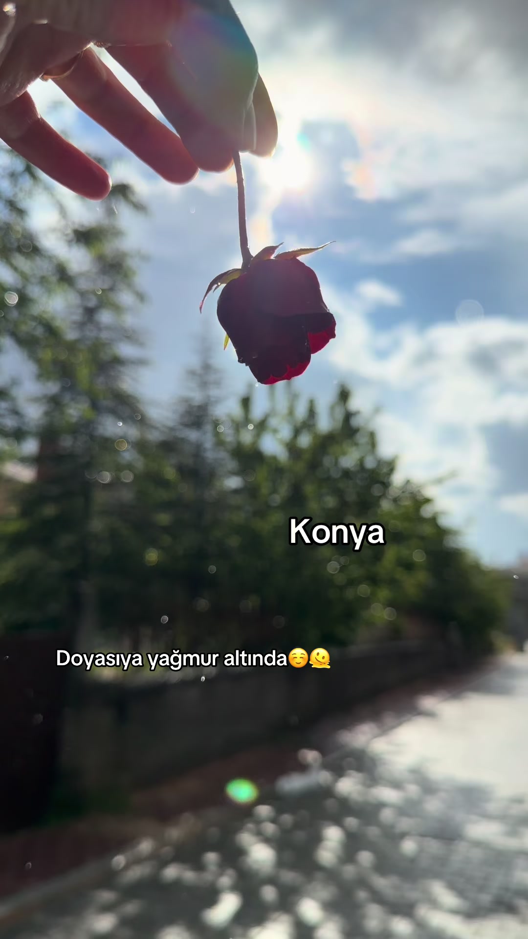 @𝐒𝐔𝐌𝐄𝐘𝐑𝐀 𝐓𝐏