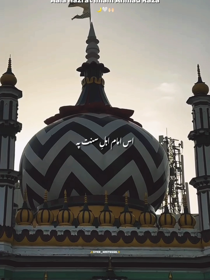 @✨𝗦𝘆𝗲𝗱 𝗪𝗿𝗶𝘁𝗲𝘀✨