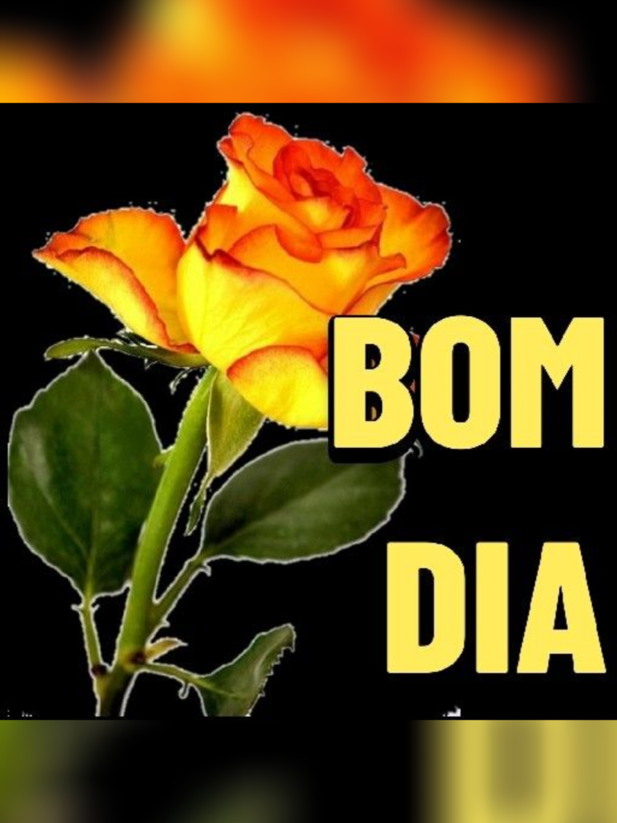 @GILDENICE MACHADO