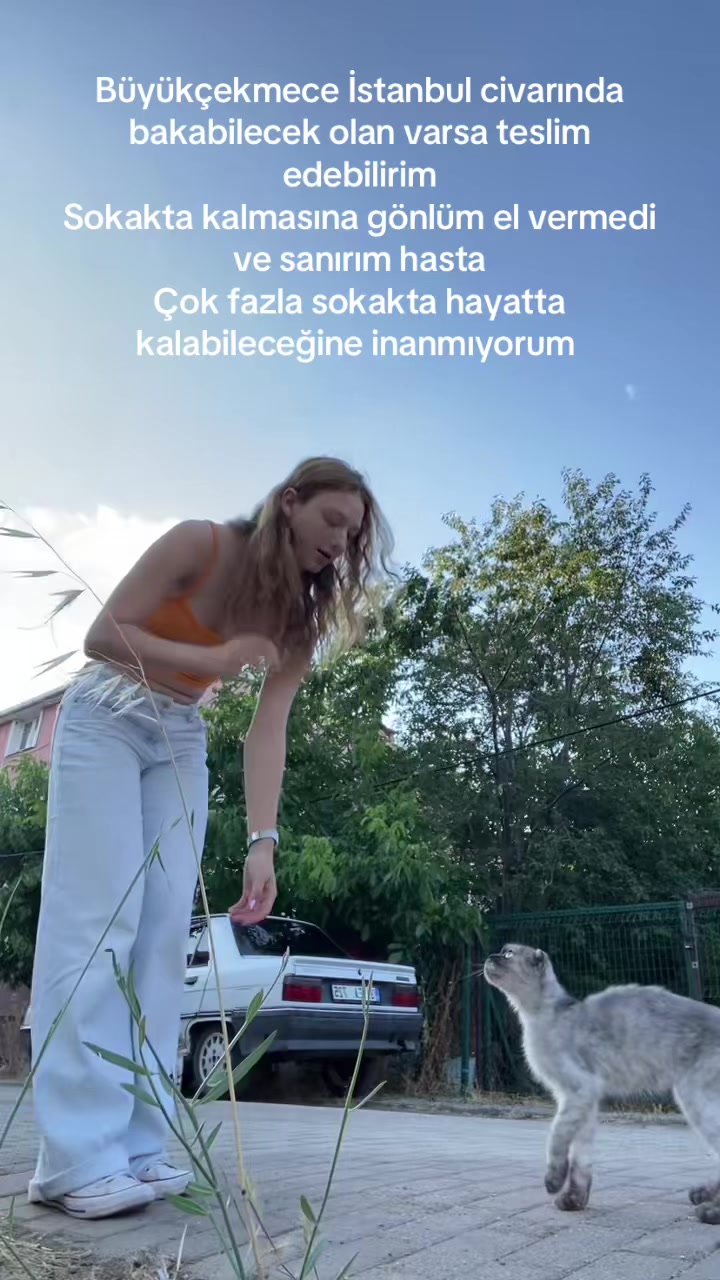 @Azrrkaraa