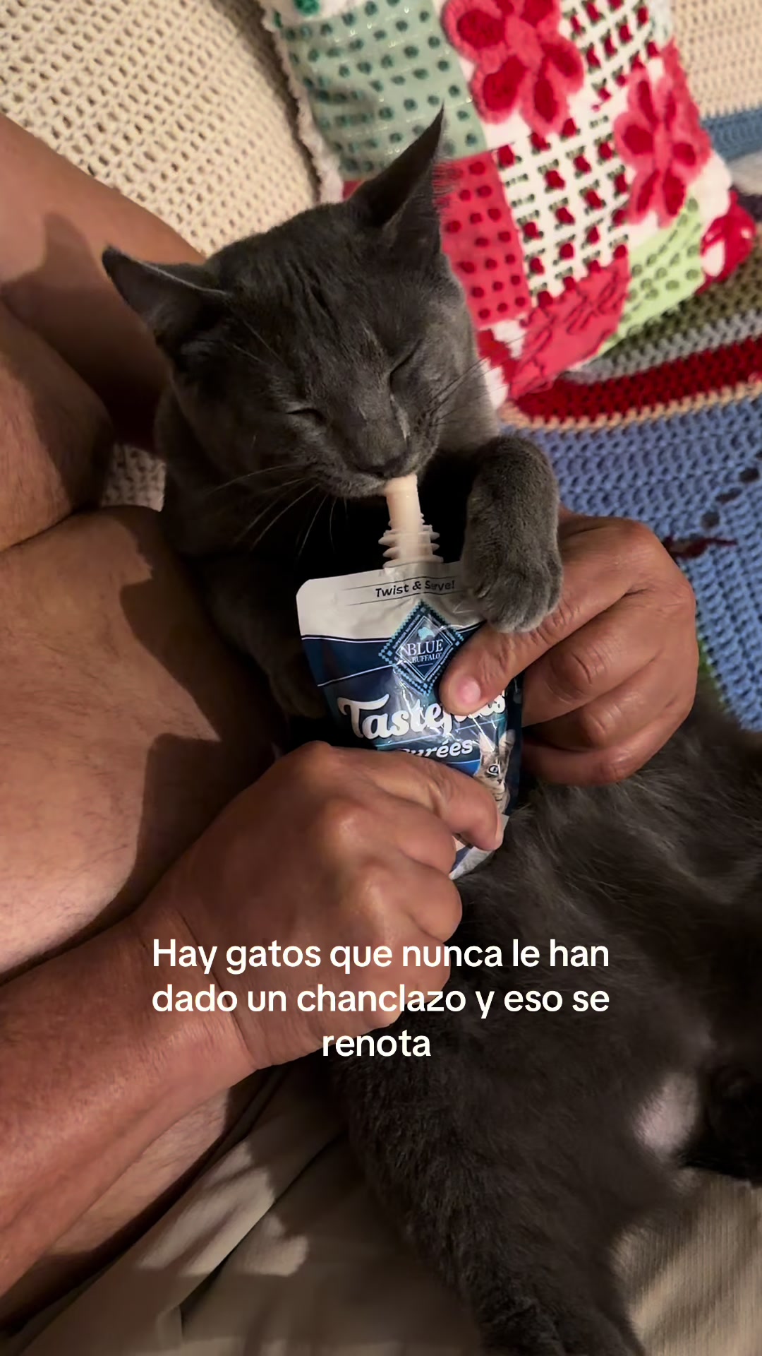 @amy_kt3
