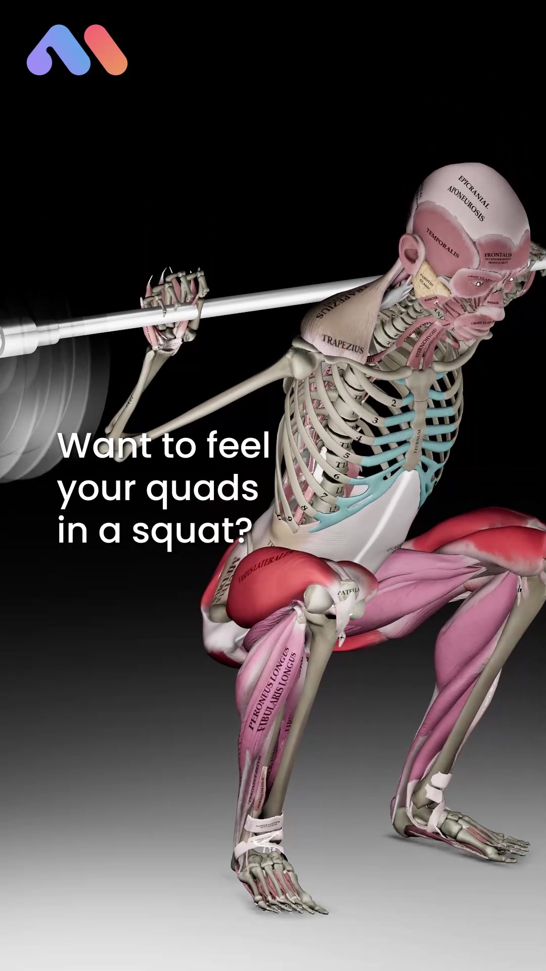 @Muscle & Motion