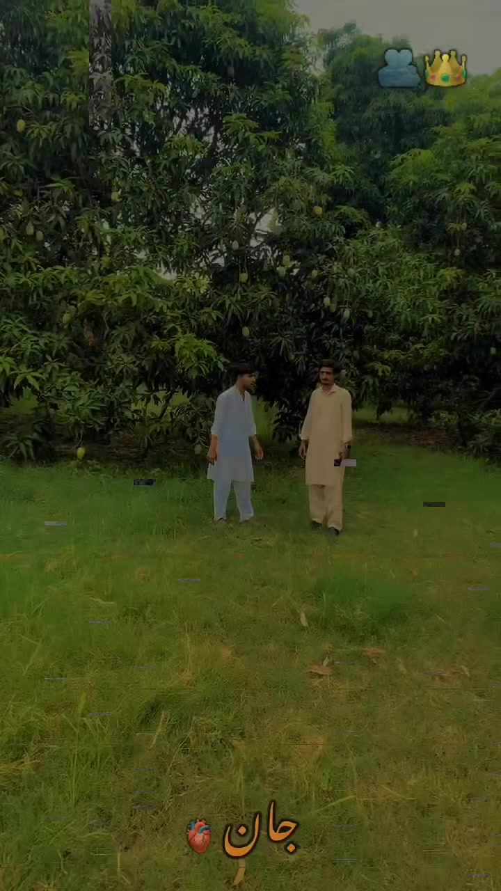 @Liaqat sahu