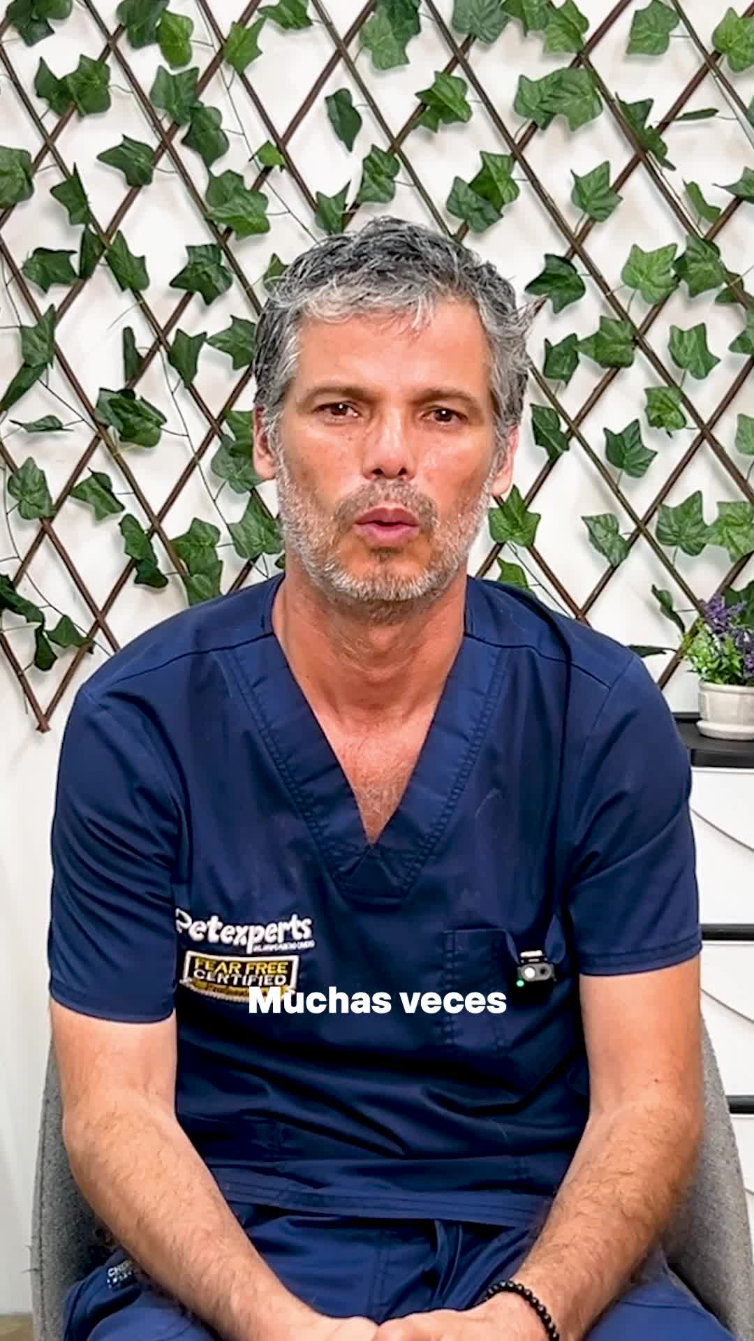 @Pancho Cavero