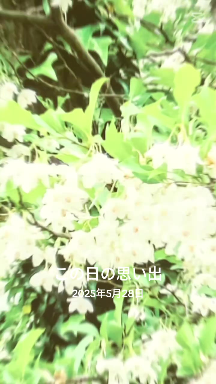 @ゆりちゃん🌠🌠