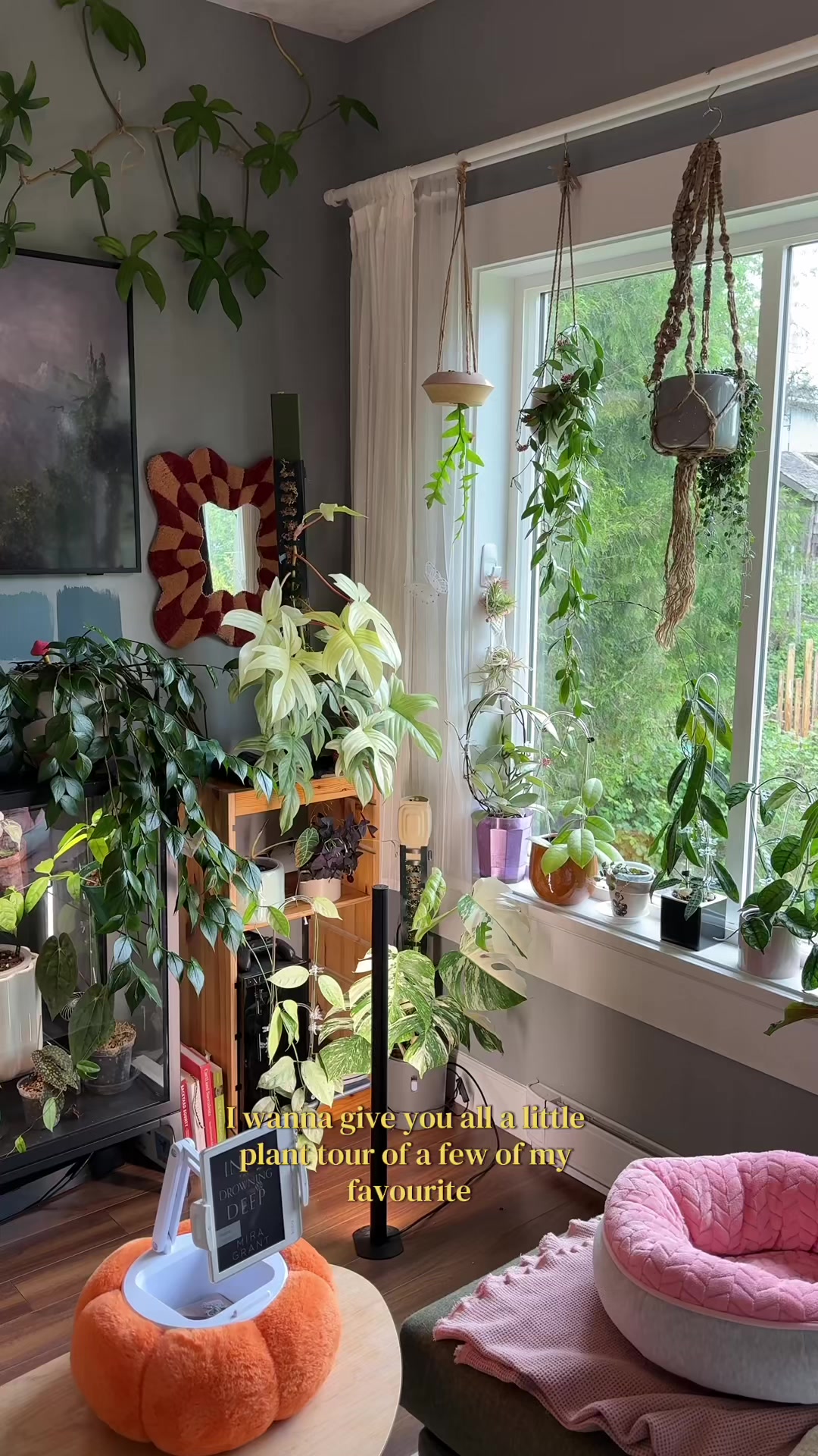 @wildfern