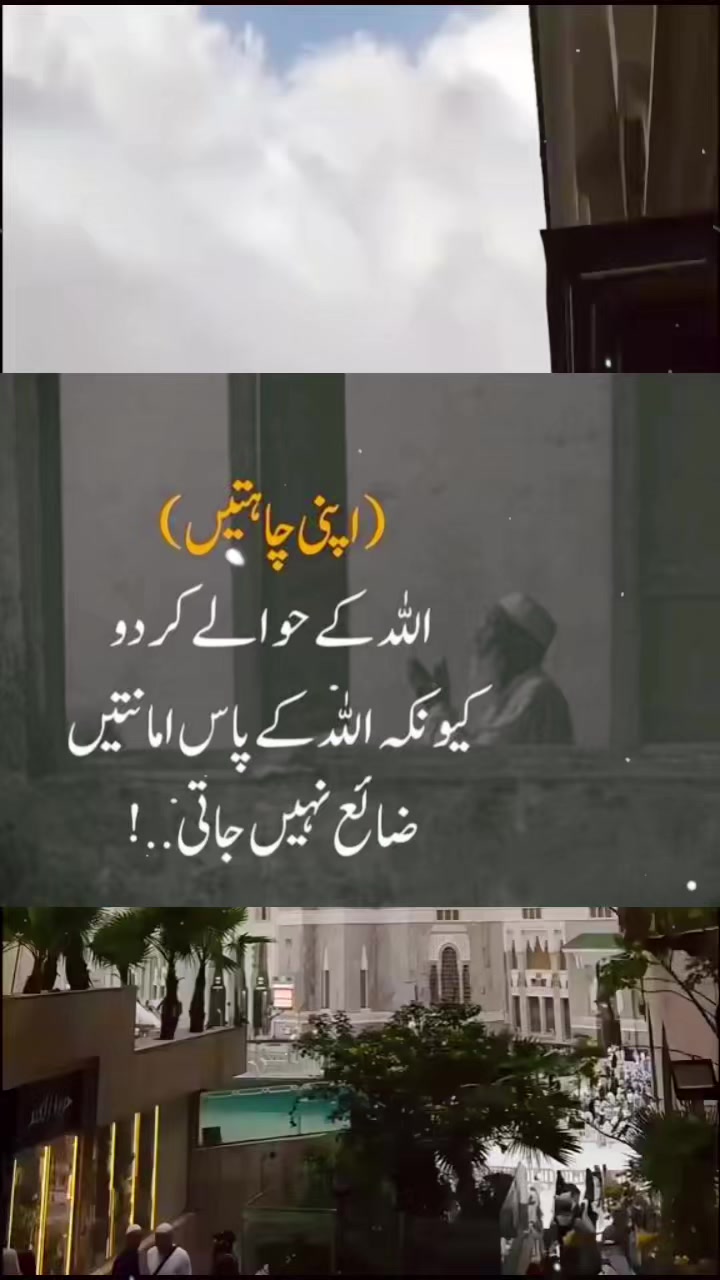 @amsal.khan84873