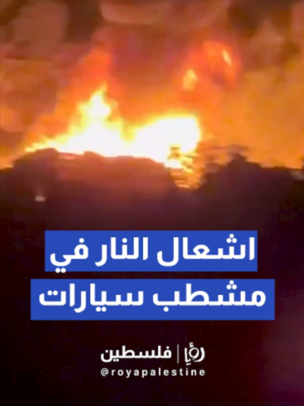 @Royapalestine رؤيا فلسطين