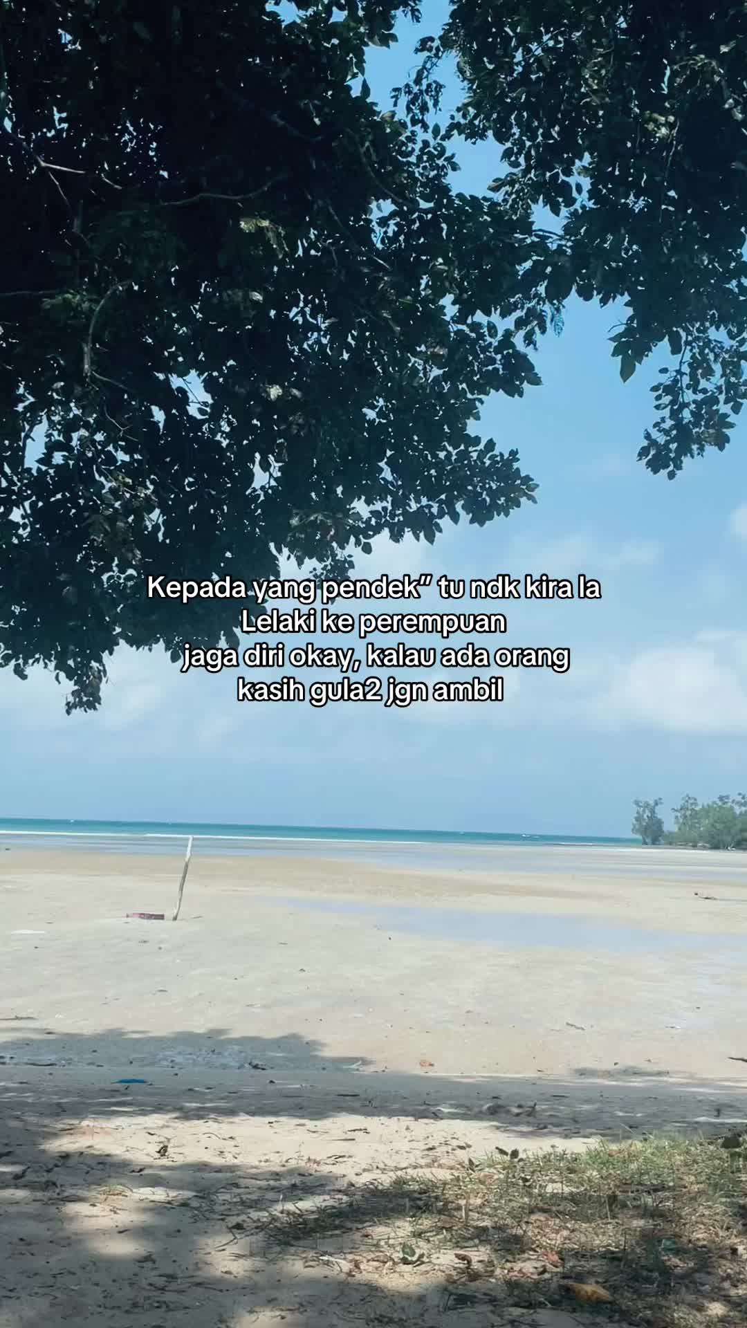 @tehhijau571