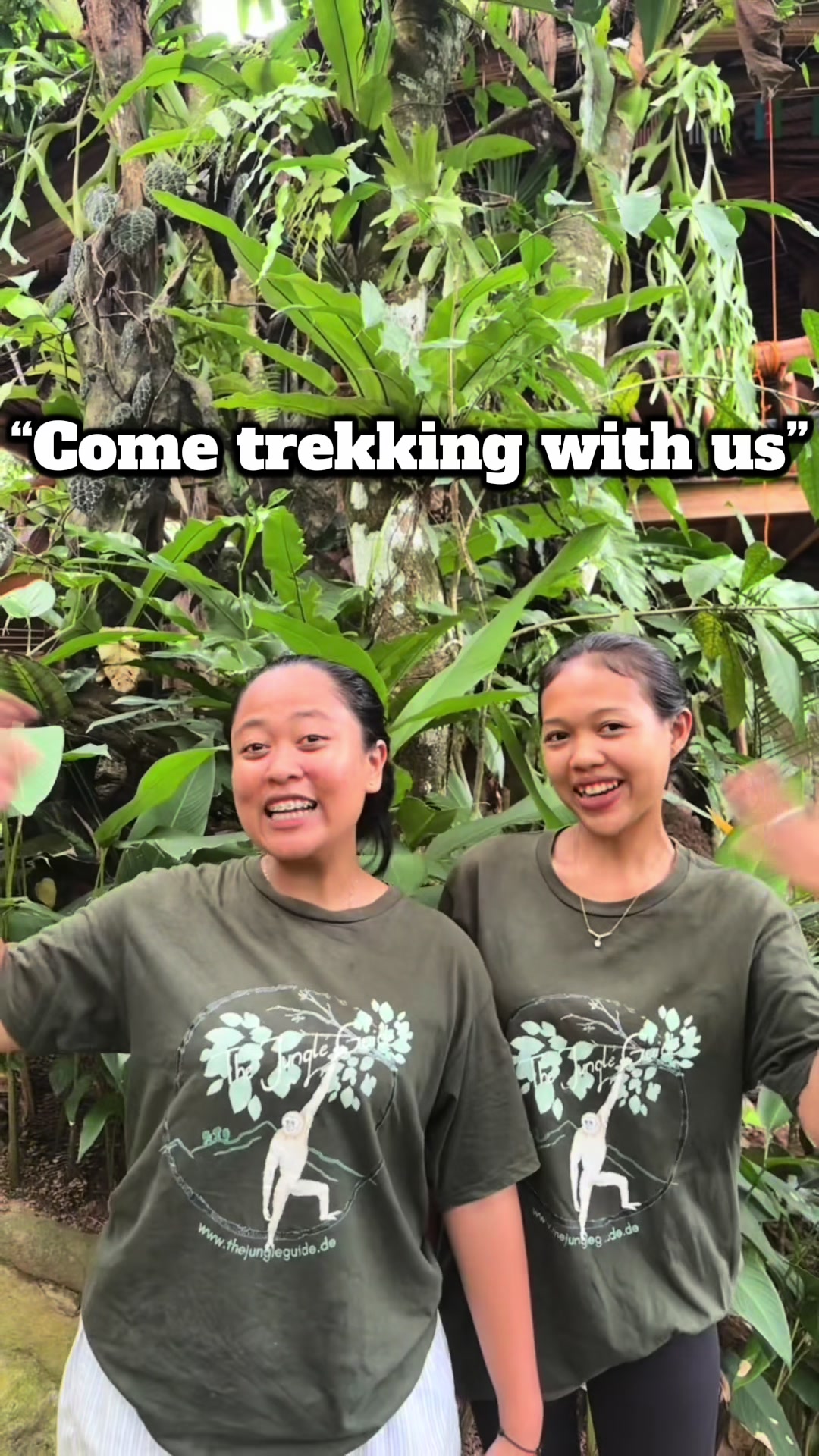 @The Jungle Guide