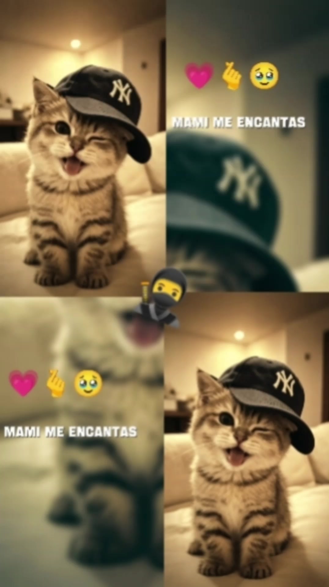 @Lorenita garcia
