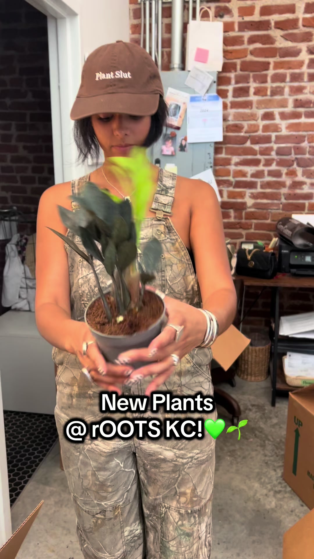 @Rootskc