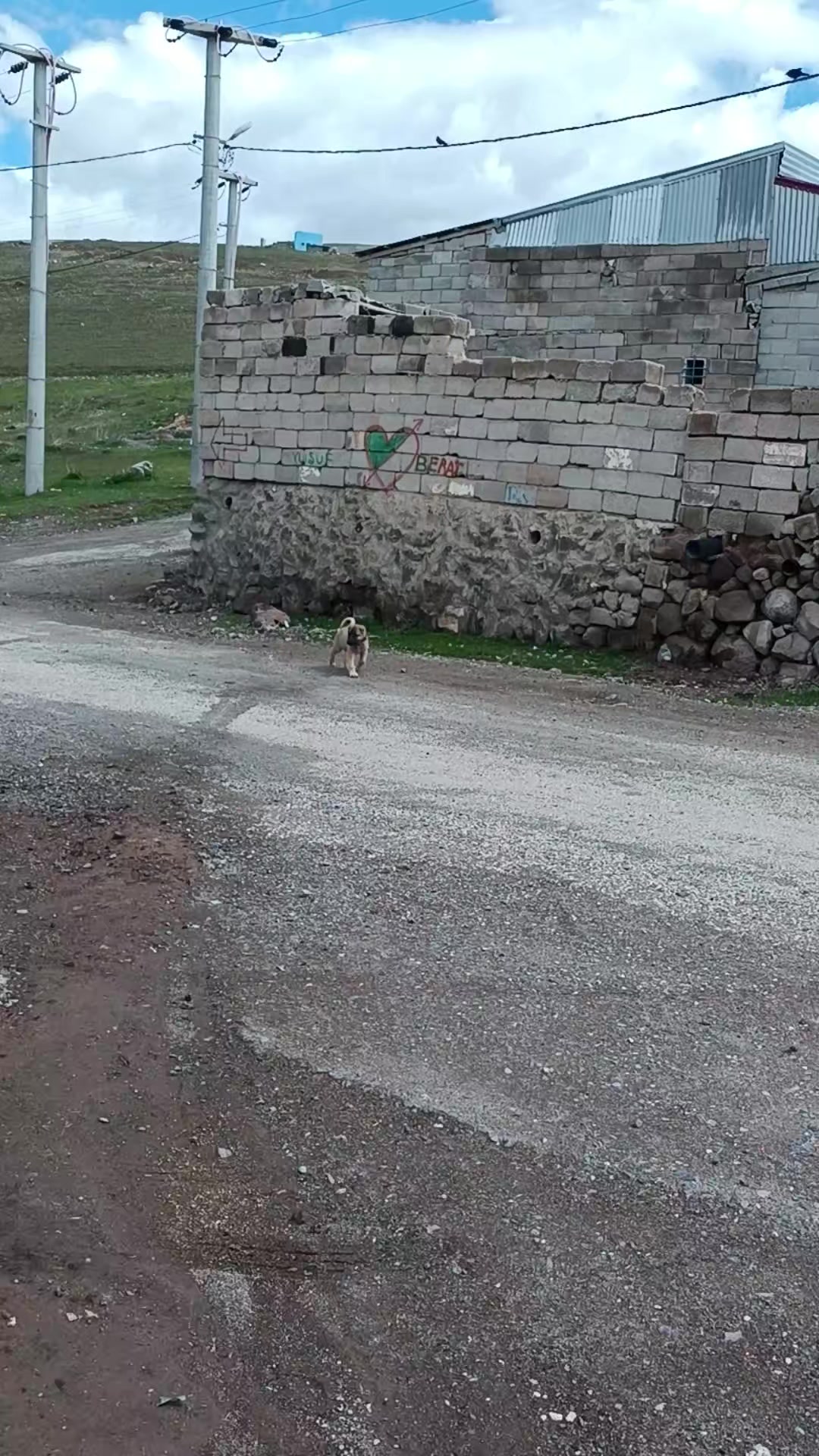 @Yusuf saldık