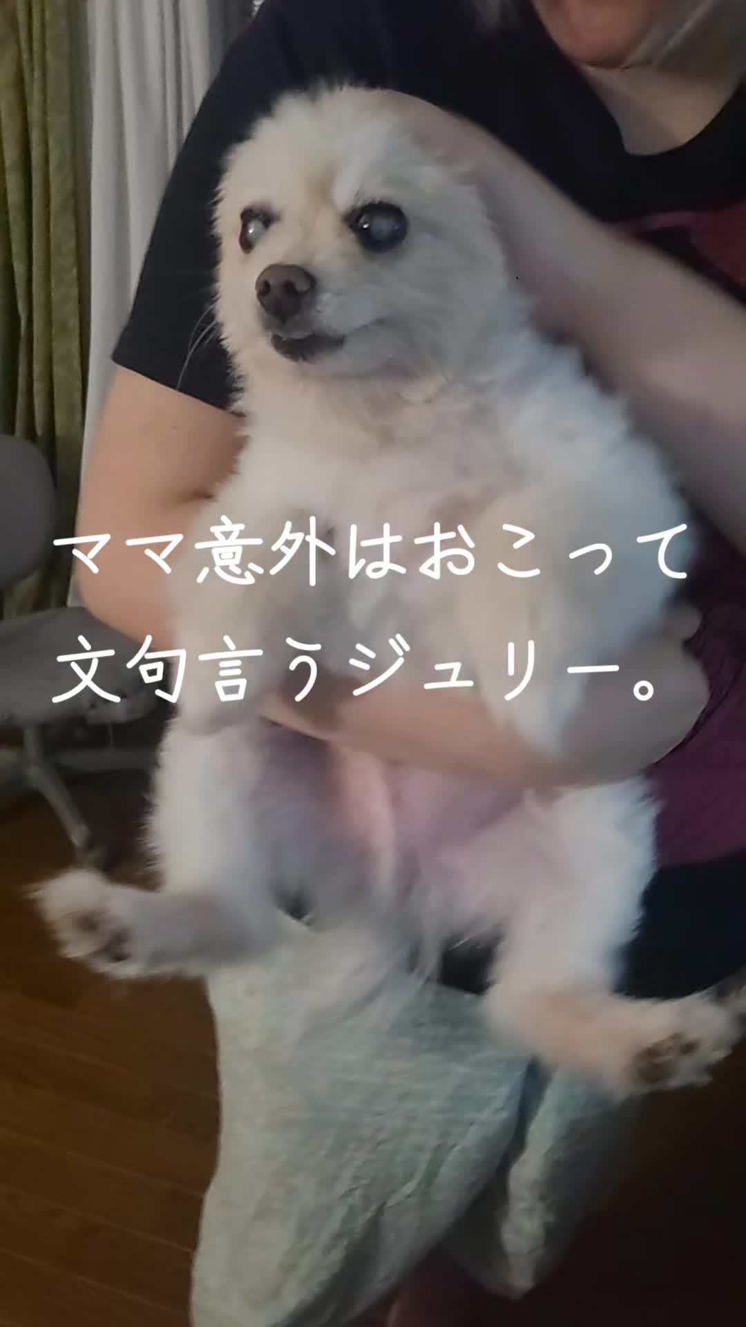 @沙亜代