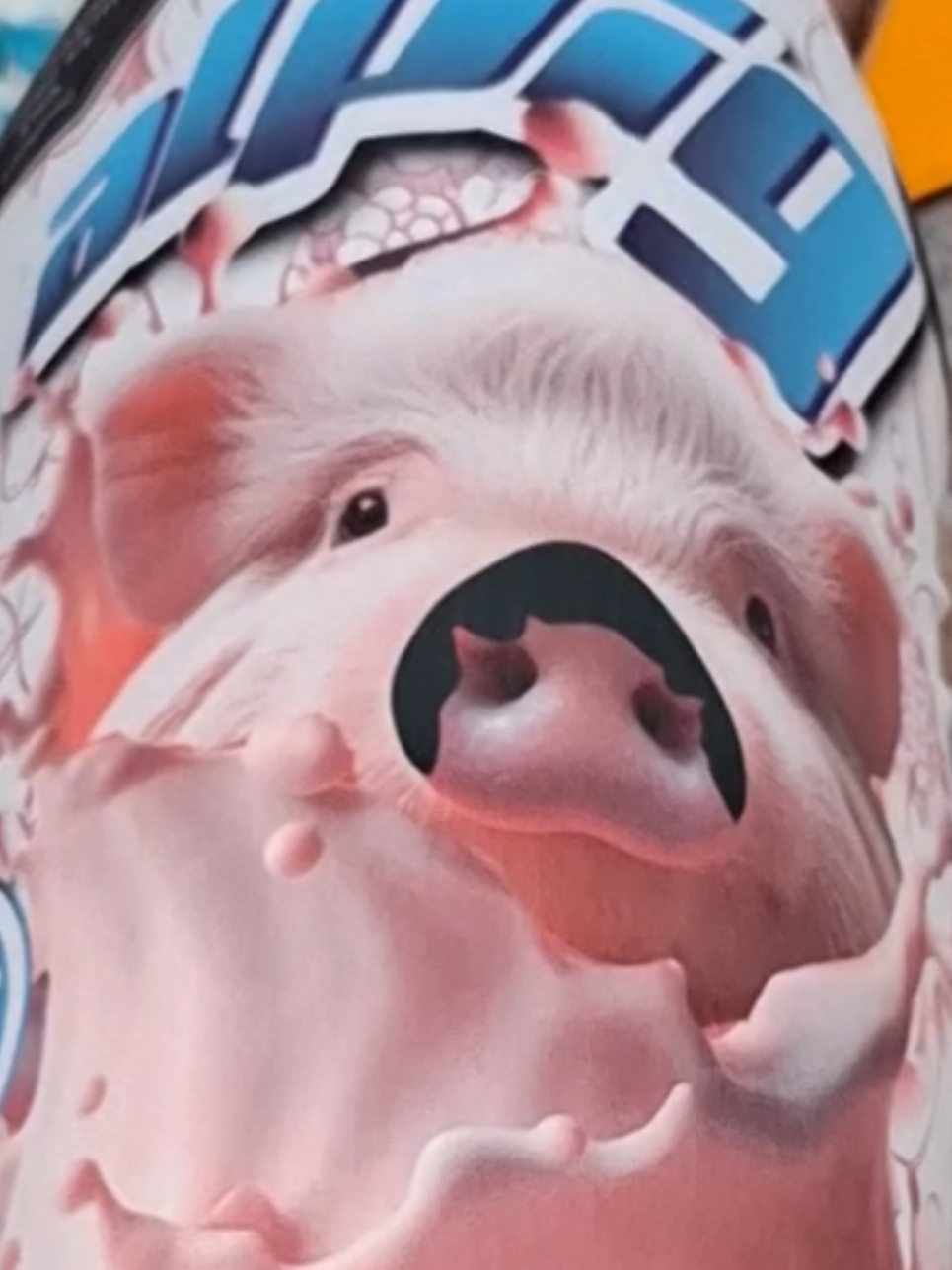 @🐷Ibi.pig🐷