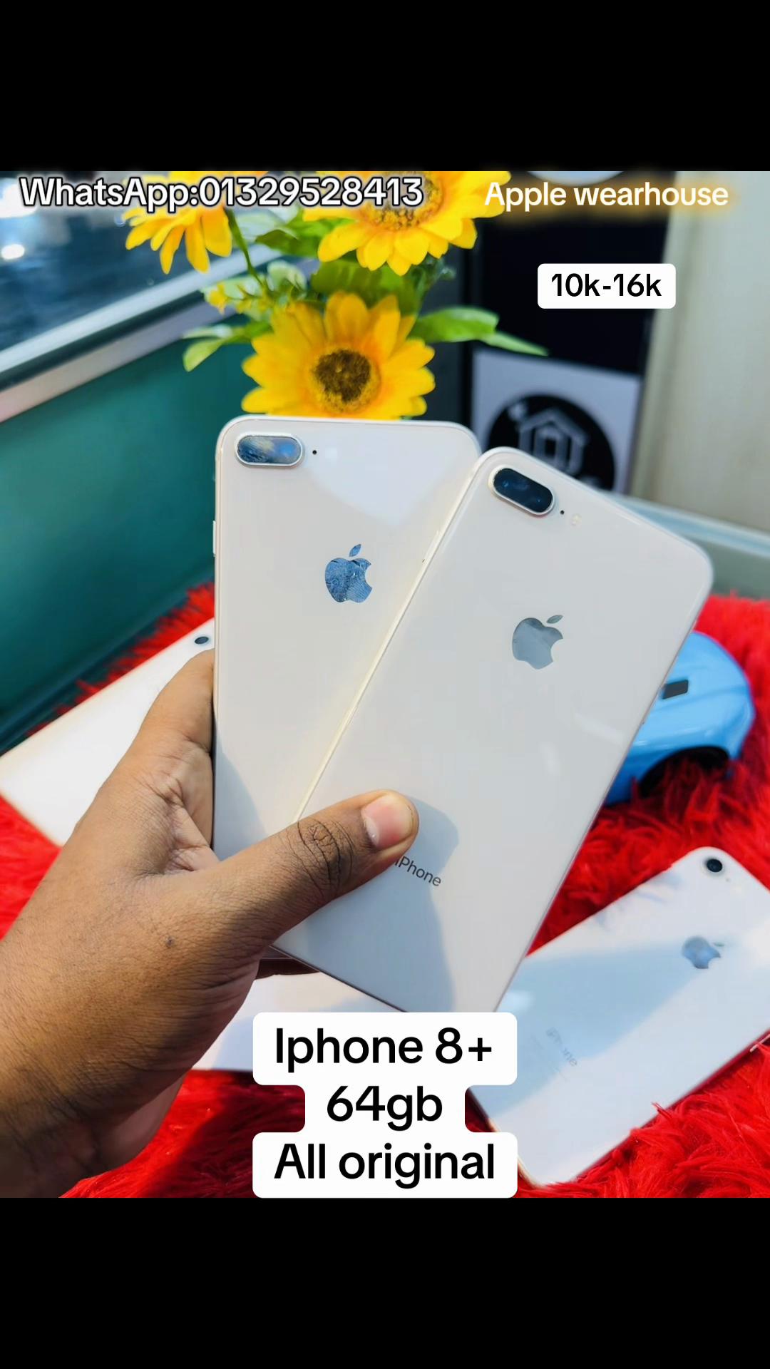 @Apple Wearhouse