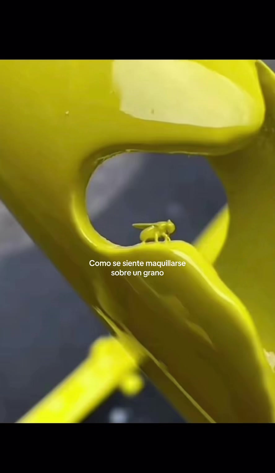 @valevicky_