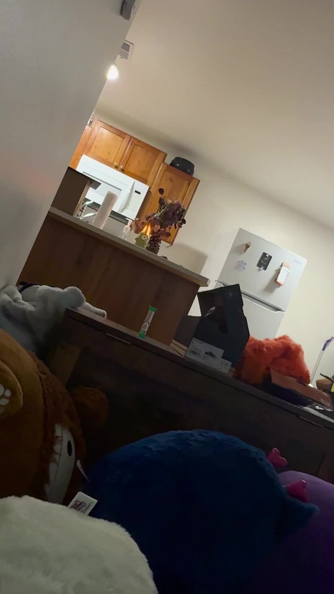 @kodi_1517