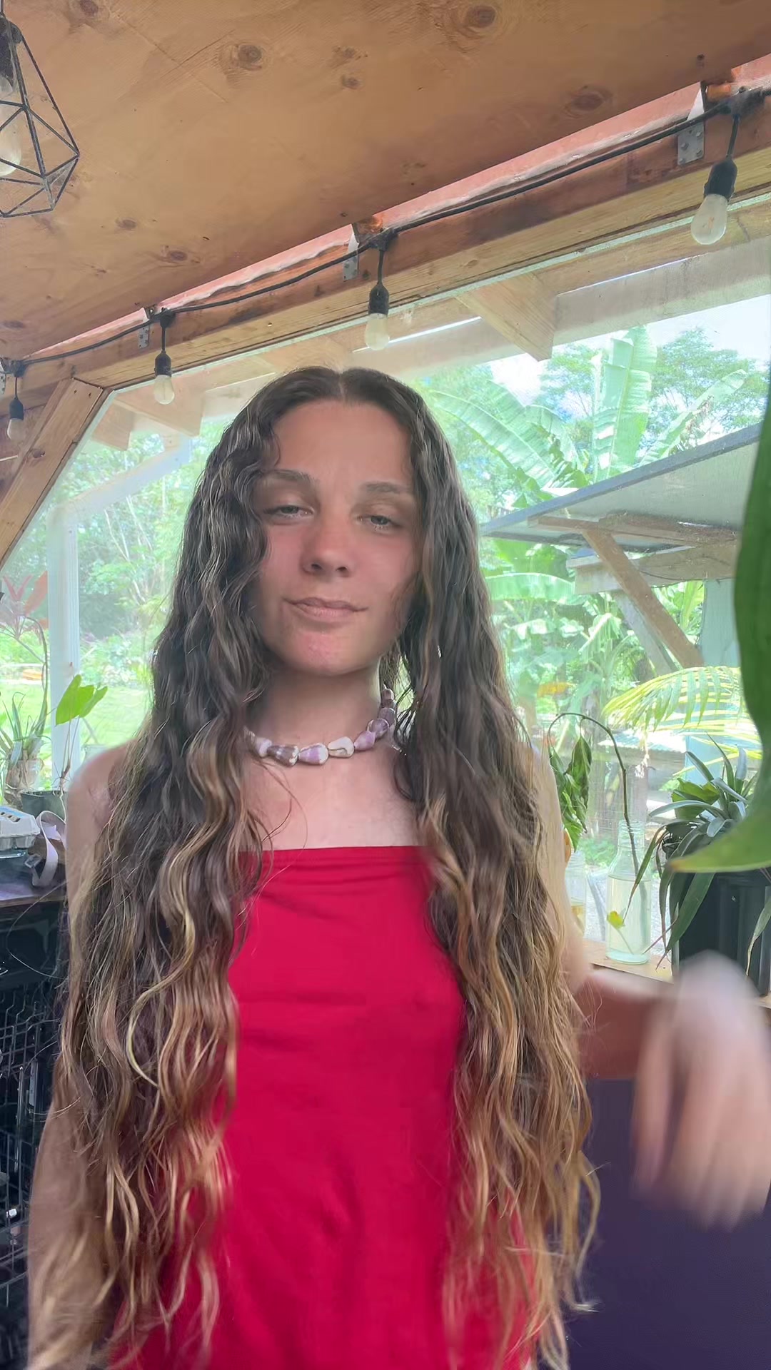 @junglefairyfarm