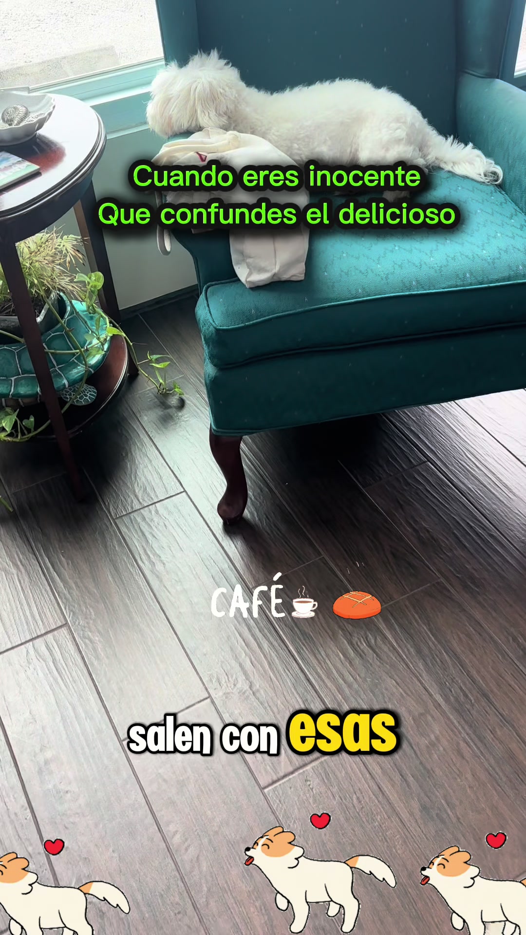 @los3huevertos