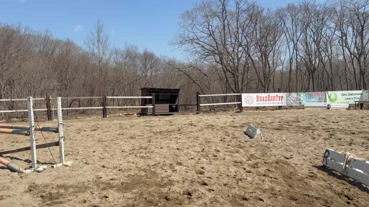 @🐴🤎