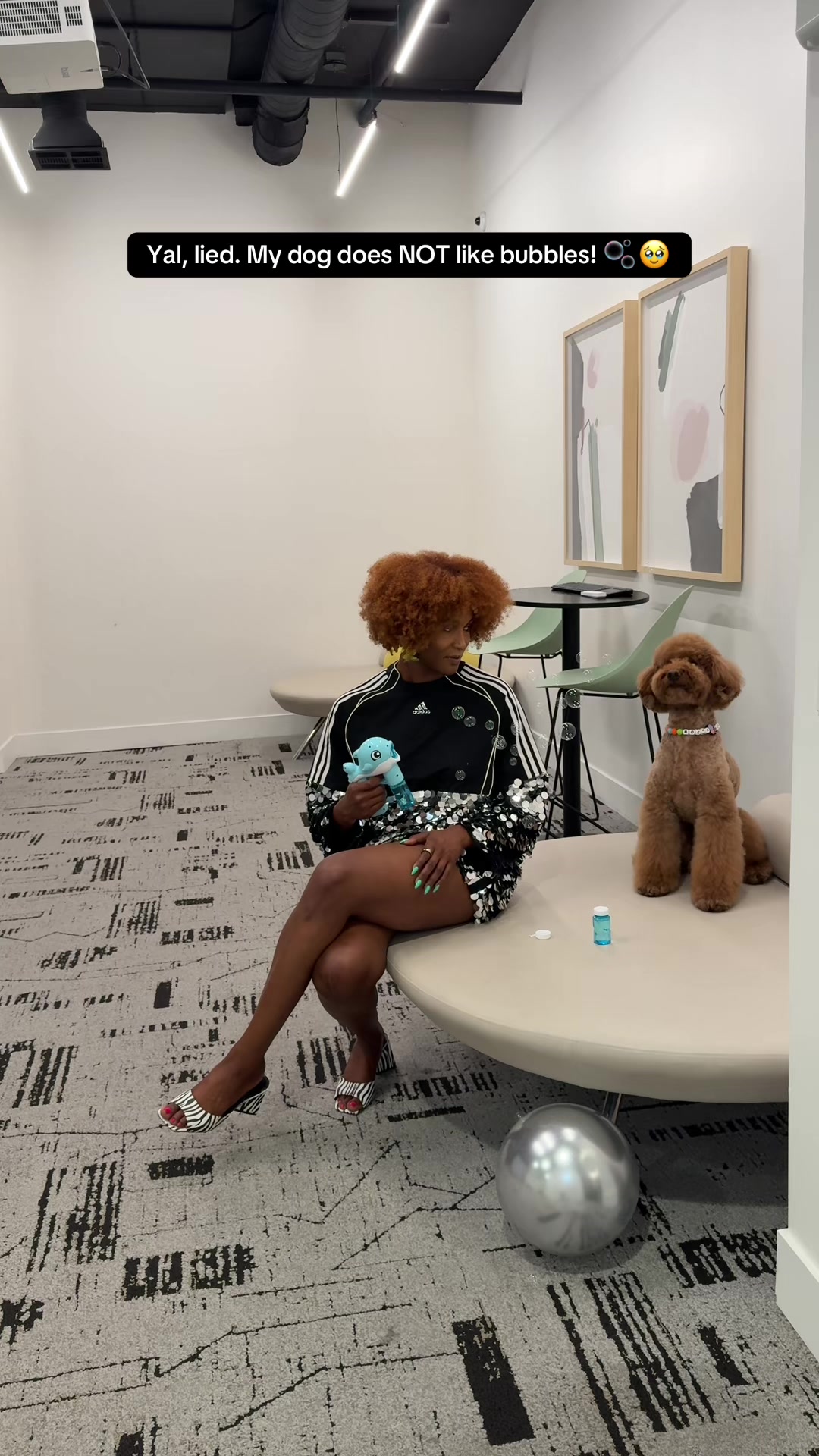 @Mocha | Mini Goldendoodle 🐾