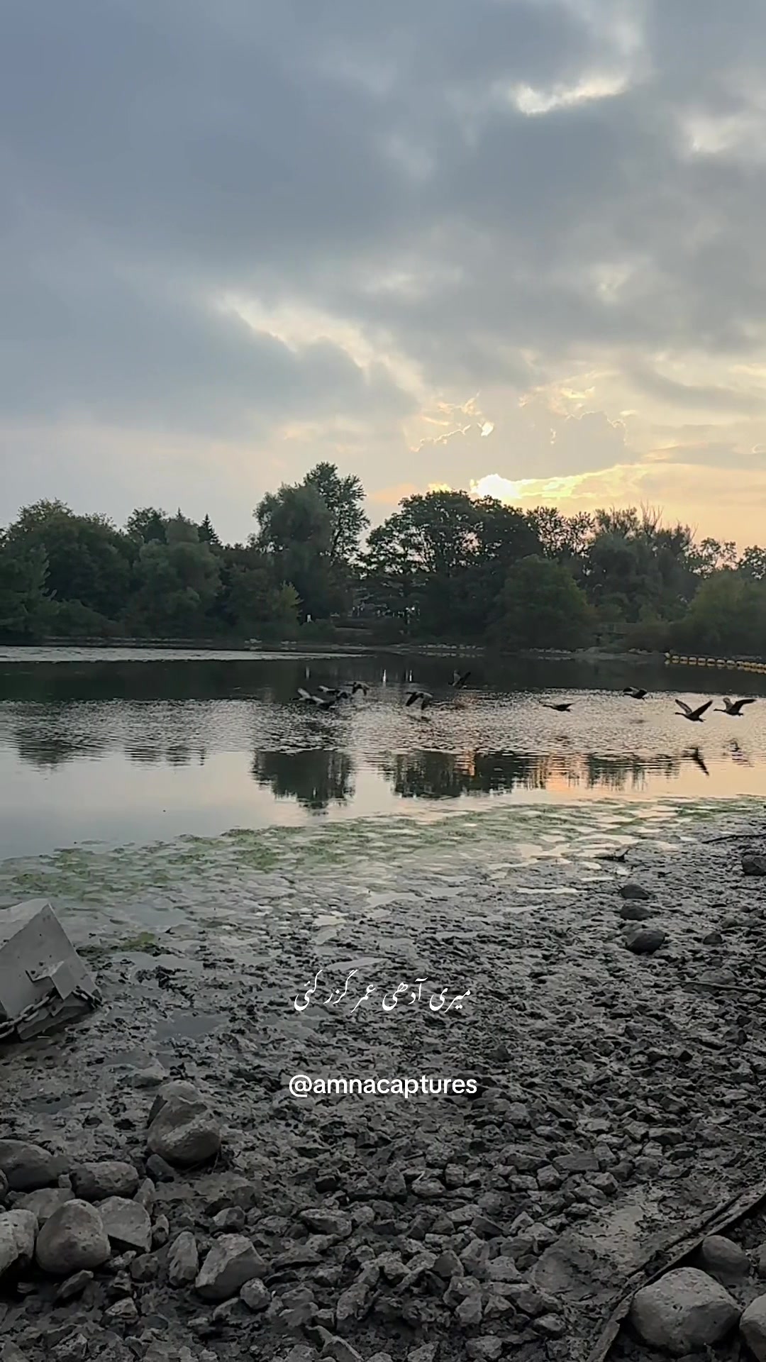 @Nature lover 🇨🇦