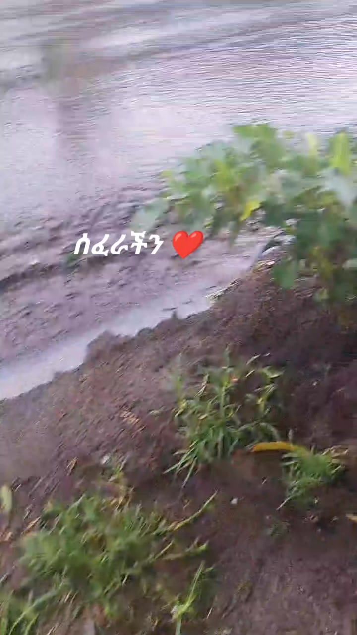 @ዉድቀትን አትጥላ