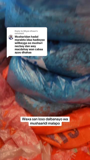 @🍯Malapo🍯