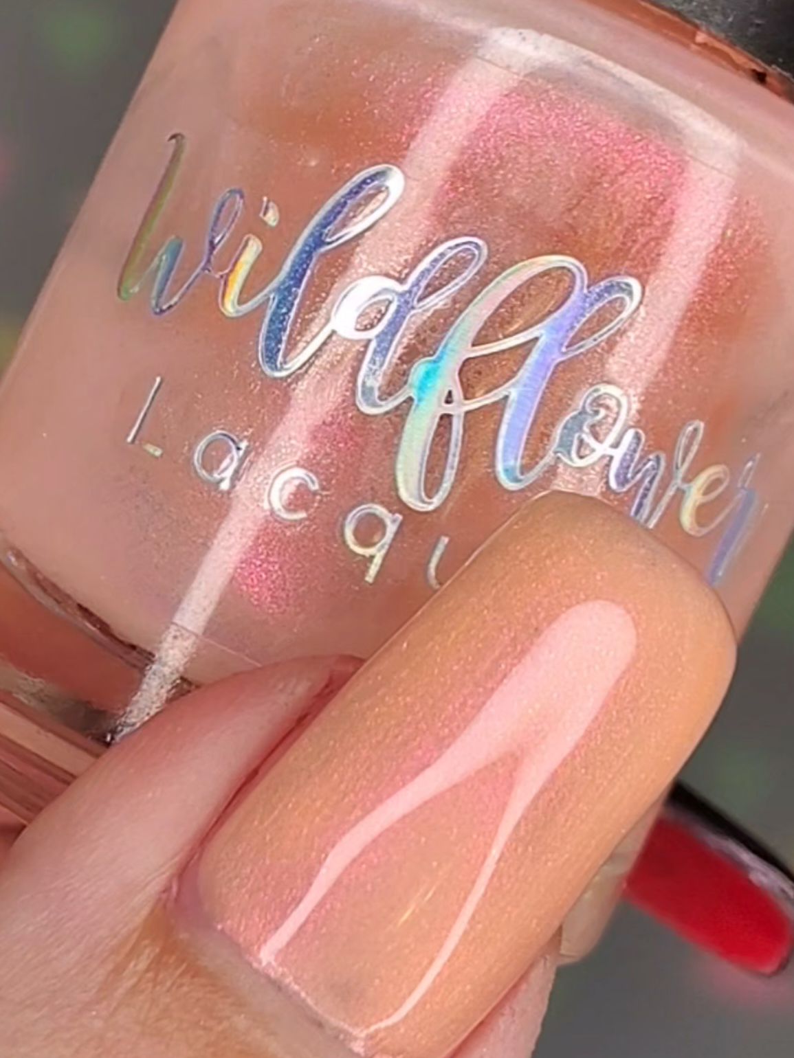 @Laura 💅