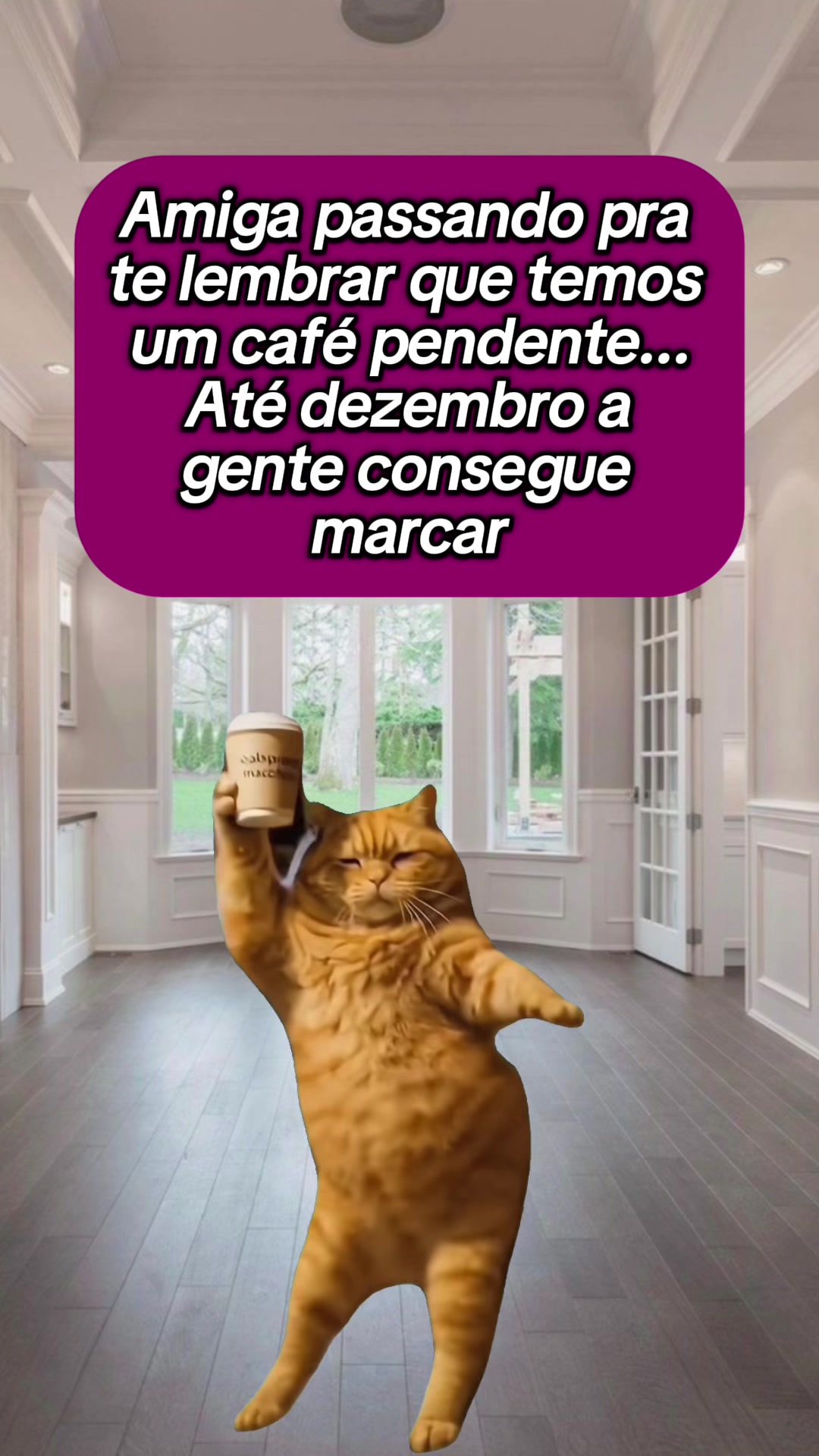 @tababadeira