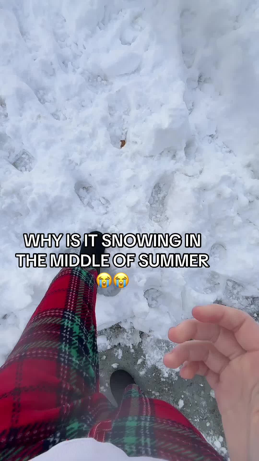@moon 🌙