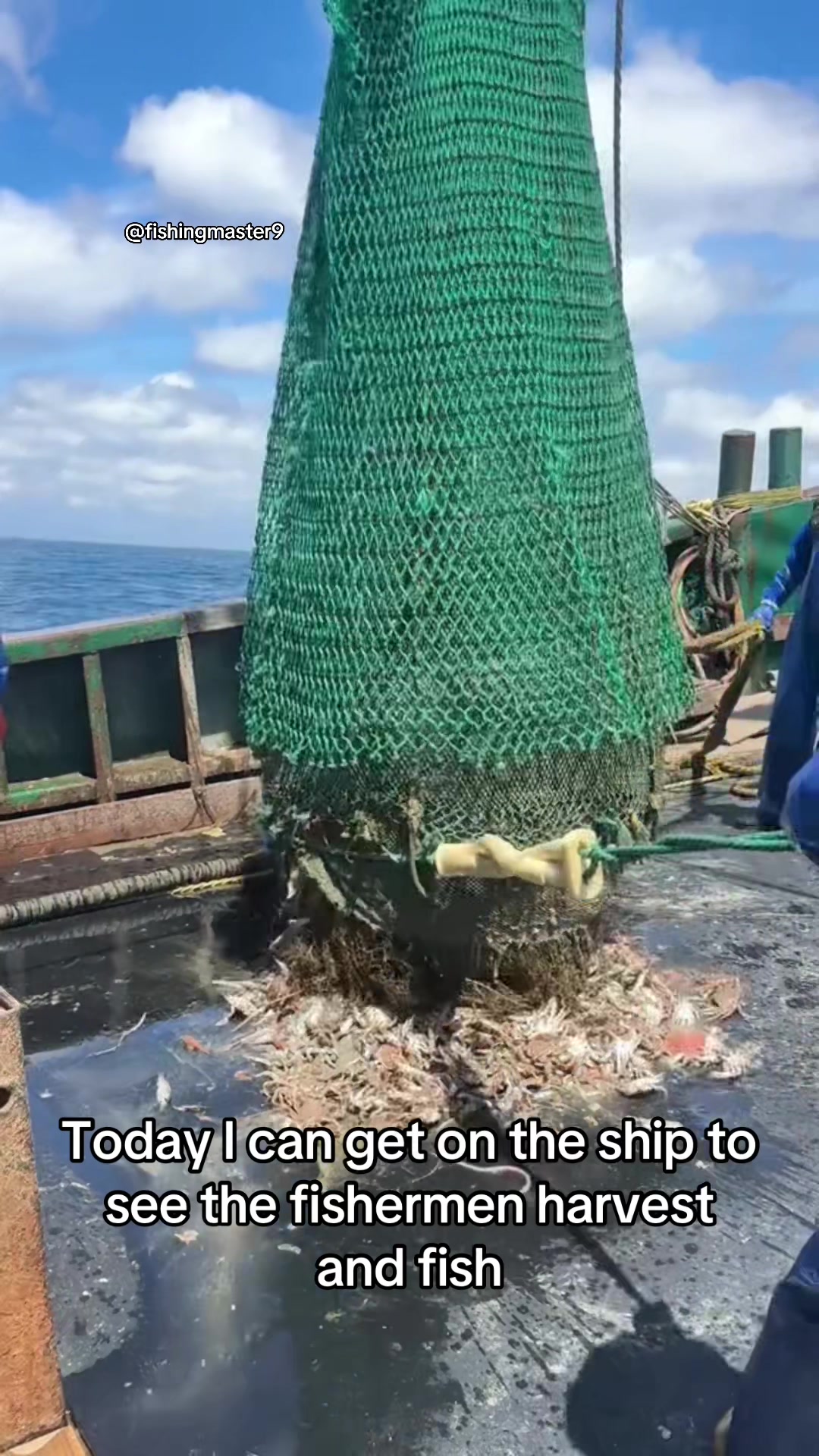 @Catch fish by hand