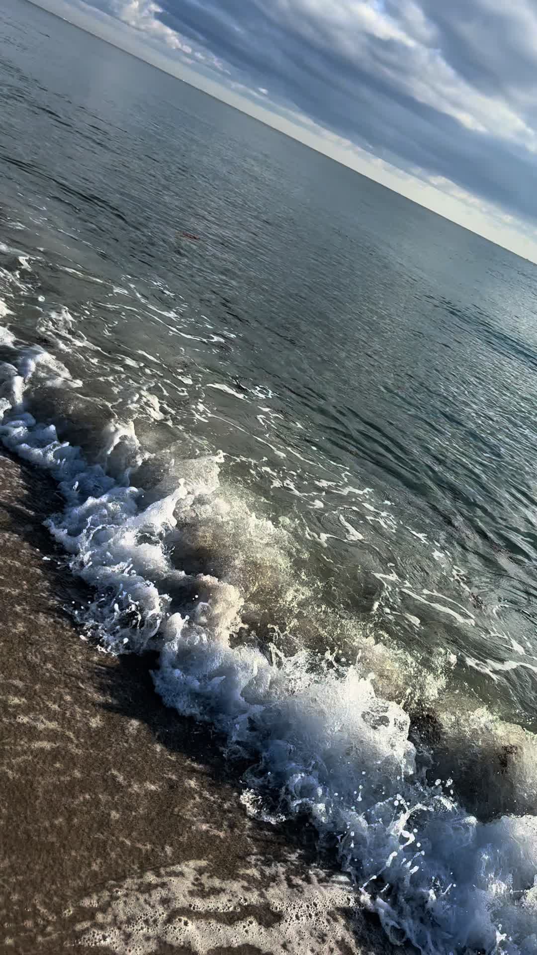 @SEA ME🪼🎶🌸