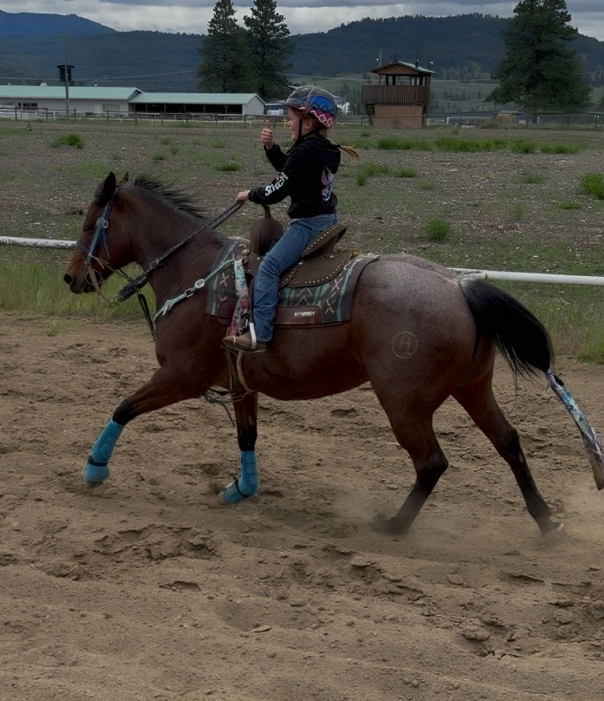 @Diamond W Barrel Horses 🇨🇦