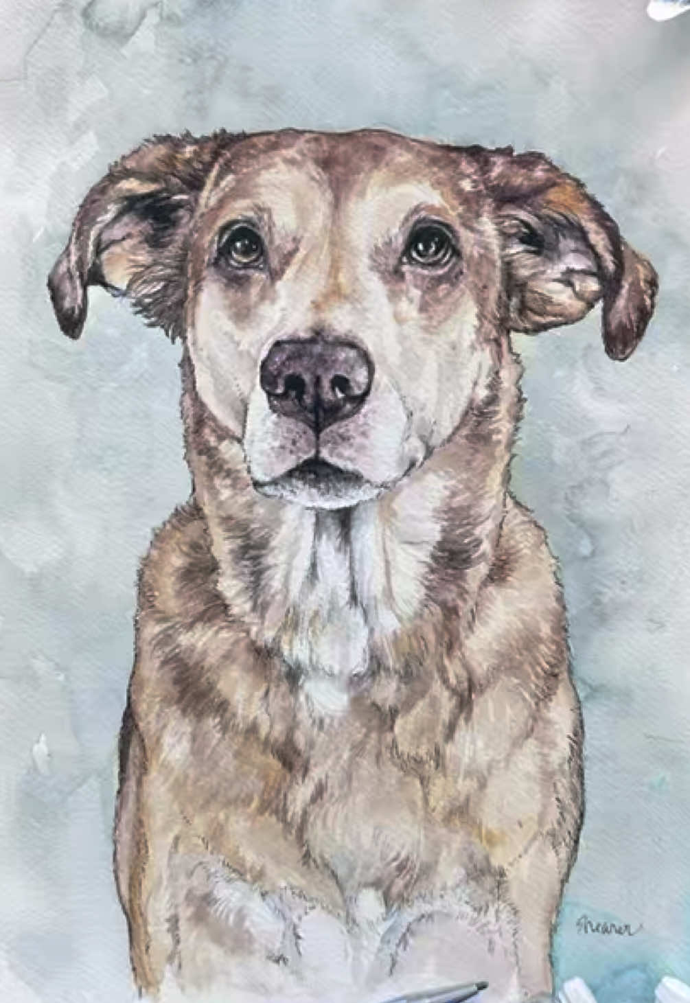 @Pet Portrait Artist