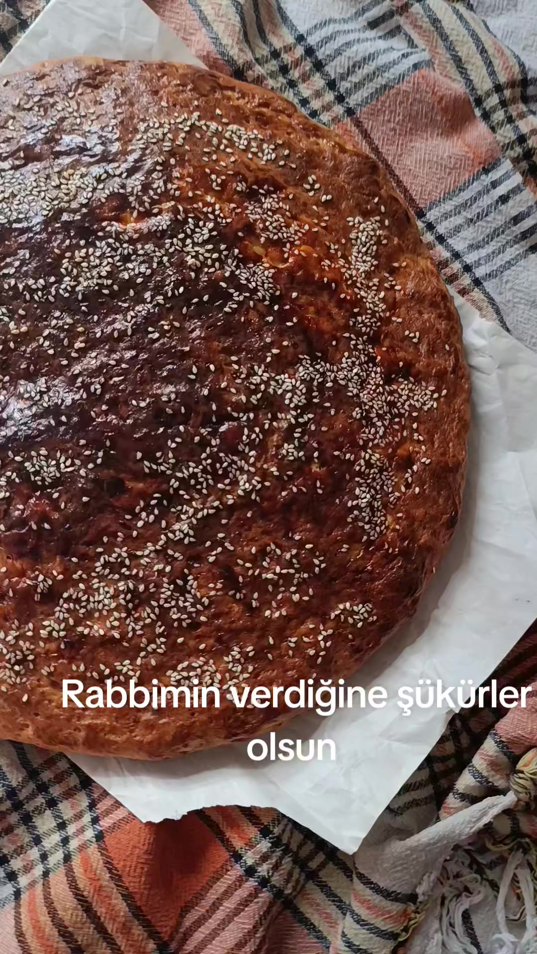 @zalimin kızı 06