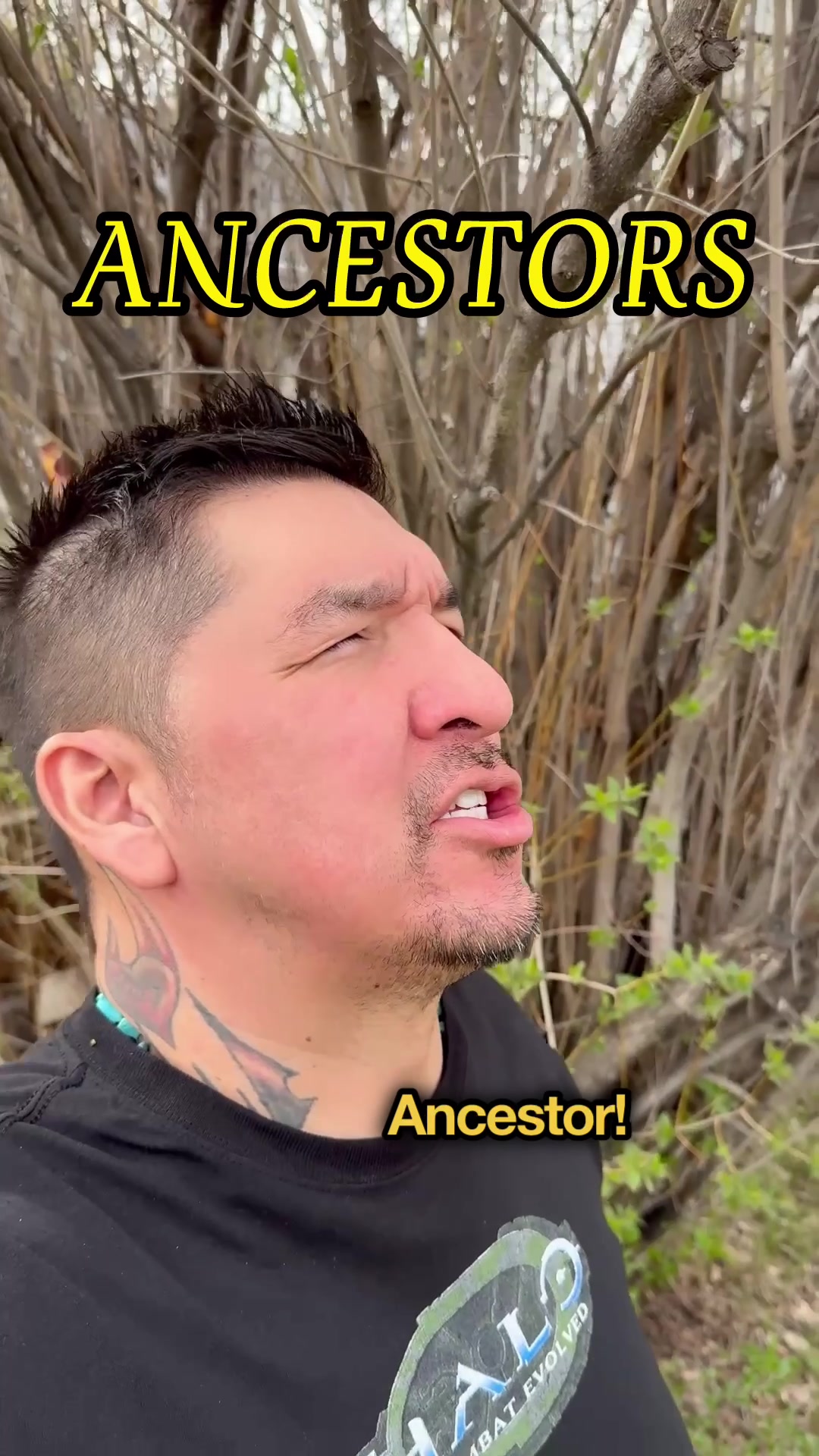 @LJ Muskwa