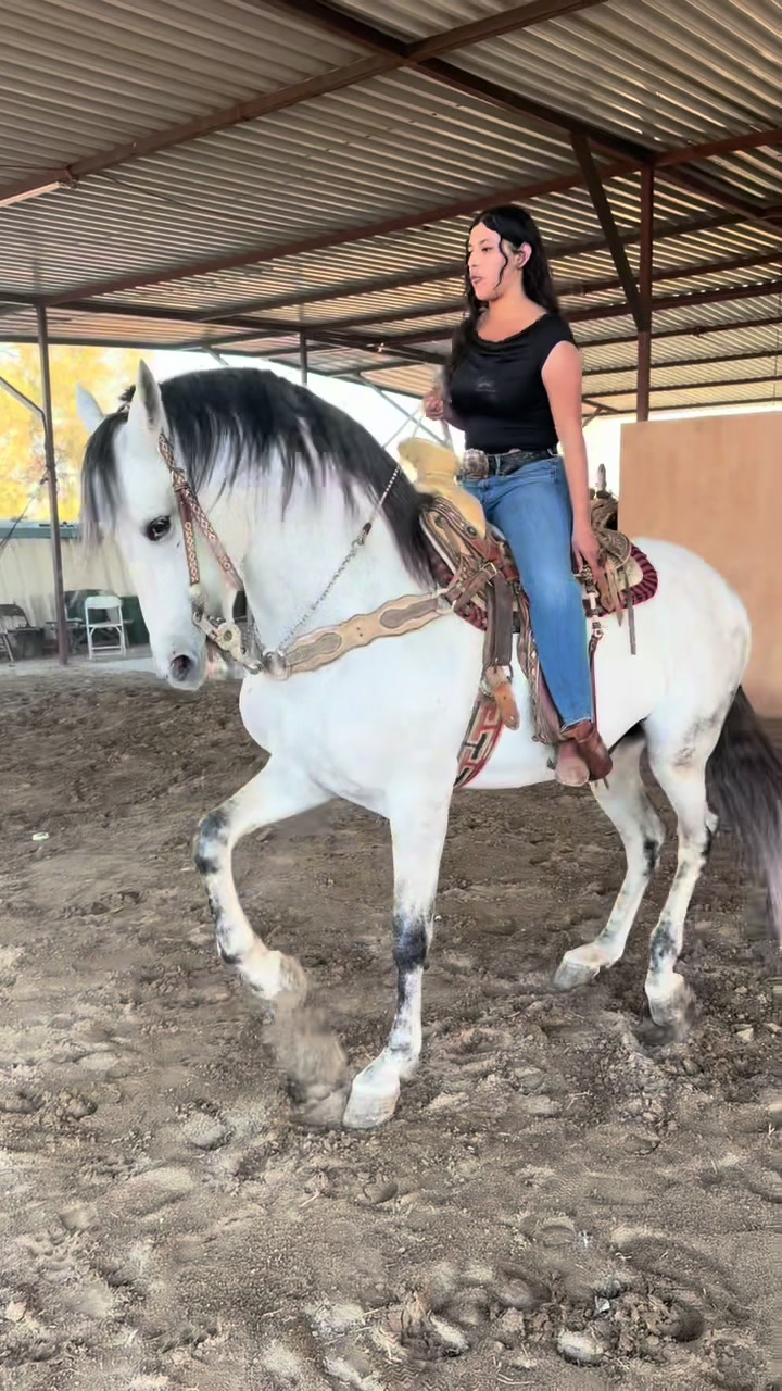 @anissadeacaballo