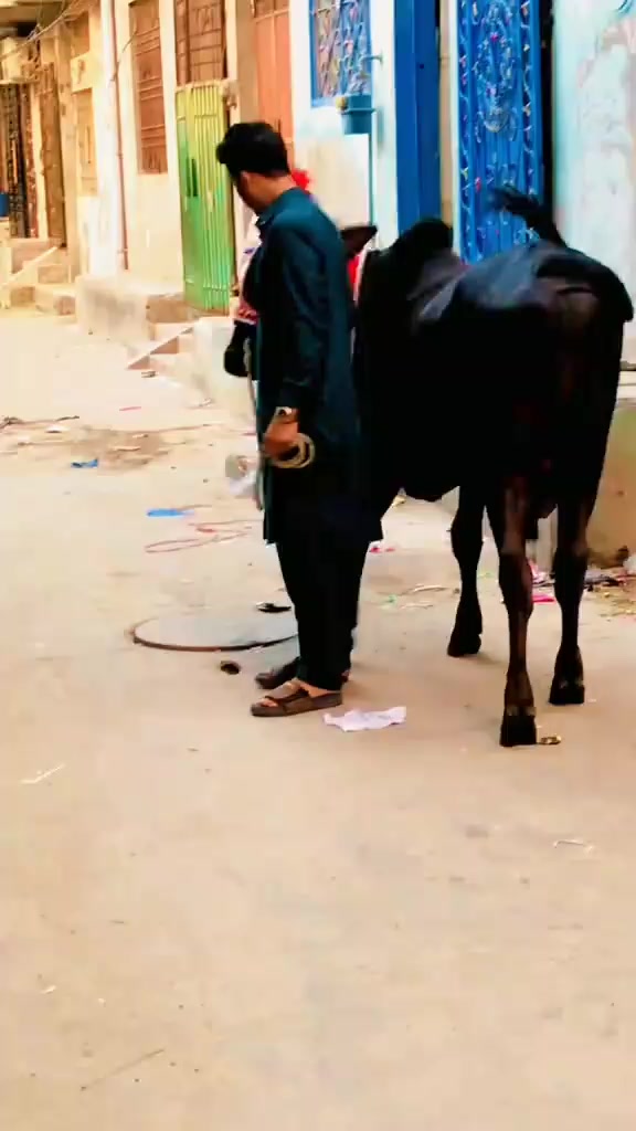 @Rana Muhammad RouF
