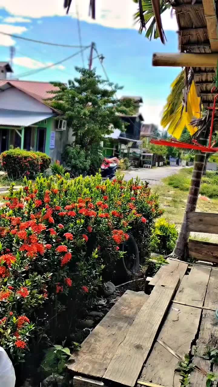 @MX`sulawesi📍