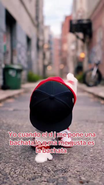 @chicodelacuadragymbro🇪🇨🇺🇸