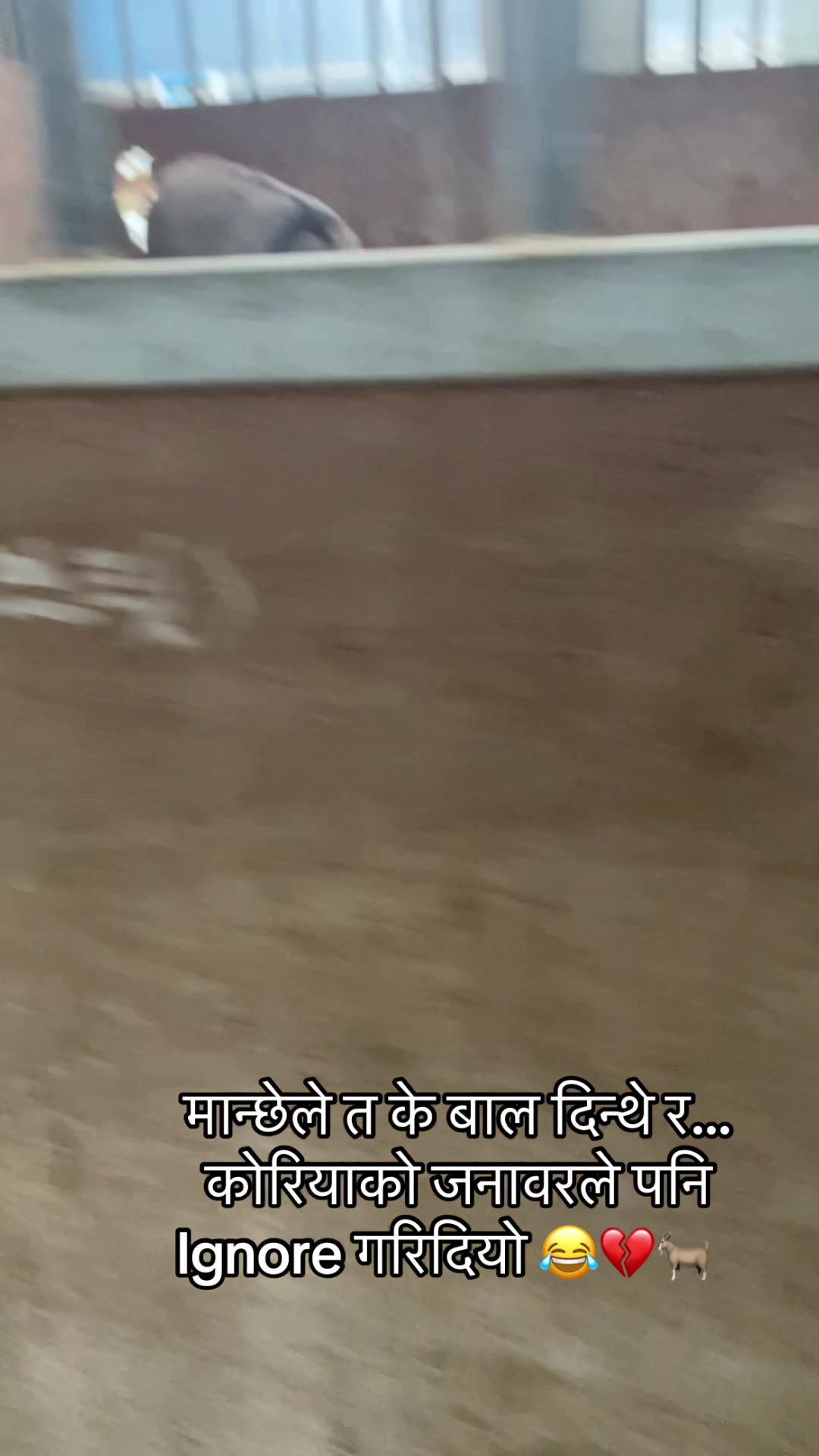 @sushilaghartithapa🇳🇵🇰🇷❤️