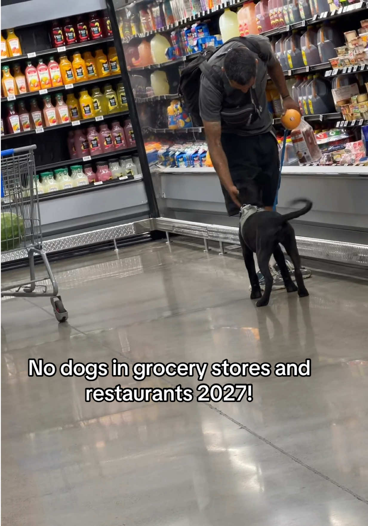 @Dogs aren’t Family