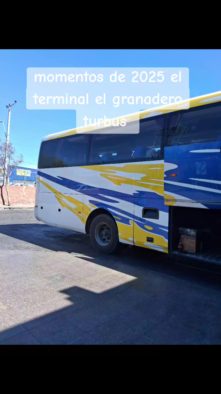 @Busología renato 😎