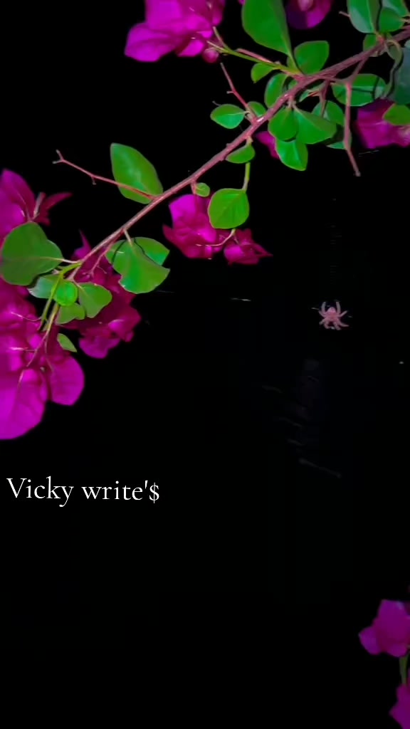 @vickyjii301