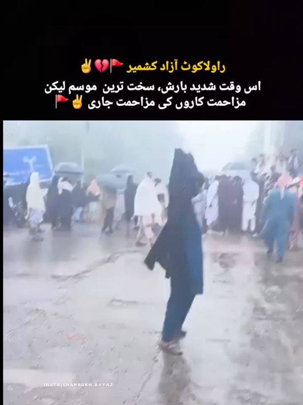 @Shah Rukh